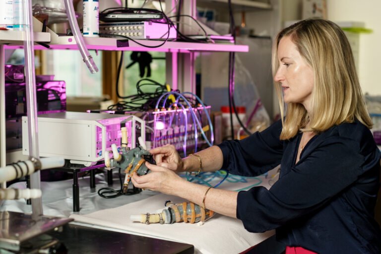 Engineering and matters of the heart | MIT News