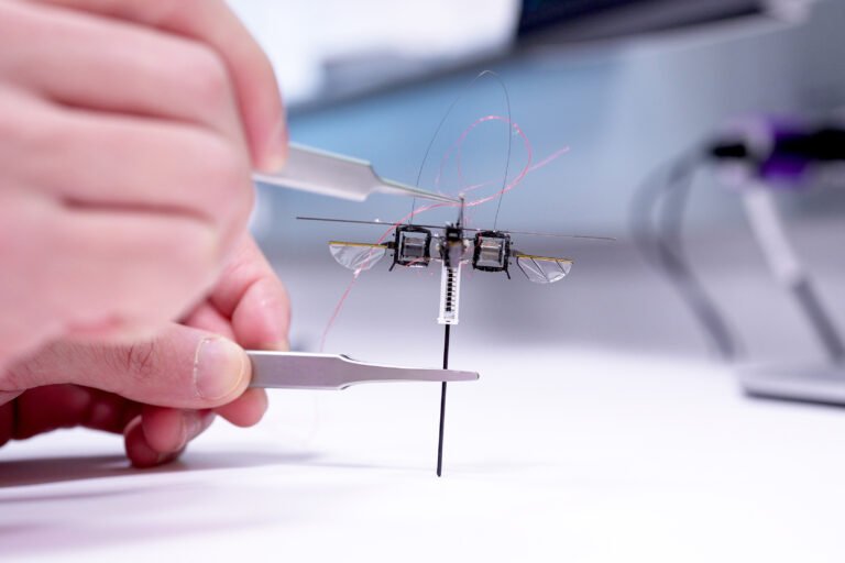 Hopping gives this tiny robot a leg up | MIT News